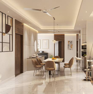 SHAPOORJI PALLONJI THE DUALIS