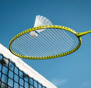 SHAPOORJI PALLONJI THE DUALIS