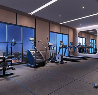 SHAPOORJI PALLONJI THE DUALIS